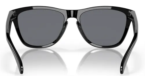 Велосипедные очки OAKLEY Frogskins