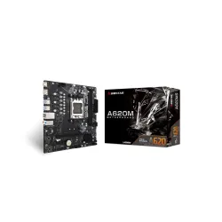 Płyta główna Biostar A620MS