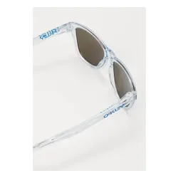 FROGSKINS UNISEX - Okulary przeciwsłoneczne - polished clear