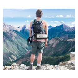 Głośnik mobilny W-KING D8 Czarno-srebrny