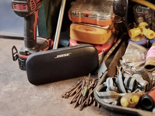 Динамик Bluetooth Bose SoundLink Flex Черный