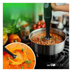 Blender Clatronic SM 3824 350W