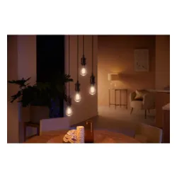 Żarówka LED Philips Hue White Ambiance Filament Edison E27 1 szt.