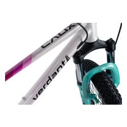 Rower dziecięcy SUN BABY Verdant Calix 20 dla dziewczynki Biało-różowo-miętowy