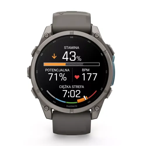Smartwatch Garmin Fenix 9 47mm Pebble Grey/Titanium
