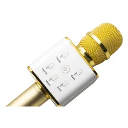 Technaxx MusicMan Karaoke Mikrofonu (BT-X31GOLD)