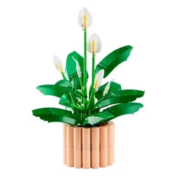 LEGO Botanicals 11504 Skrzydłokwiat