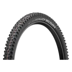 SCHWALBE Hans Dampf Evolution Lastikleri