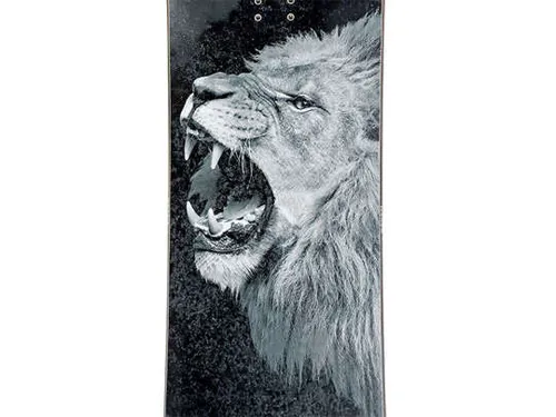 Deska snowboardowa Raven Lion