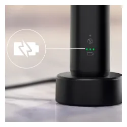 Зубная щетка Philips Sonicare HX7101/01