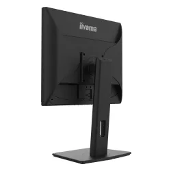 Monitor iiyama ProLite B1980D-B5 19" HD TN 60Hz 5ms