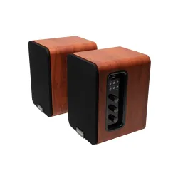 Kolumny Aiwa ASP-A200 Brązowy 2szt.