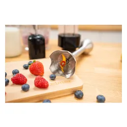 Blender ZELMER Vario ZHB4753