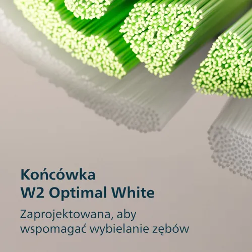 Szczoteczka soniczna PHILIPS Sonicare 3100 HX4031/21