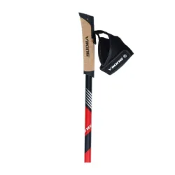 Kije do Nordic Walking Viking Kube PRO