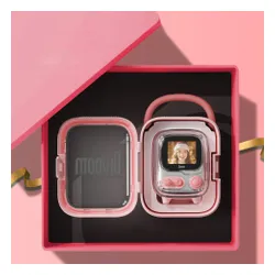 Głośnik mobilny DIVOOM Tivoo 2 Radio FM Różowy