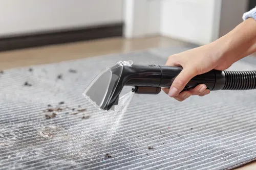 Odkurzacz Bissell SpotClean Mini Cordless 4065N