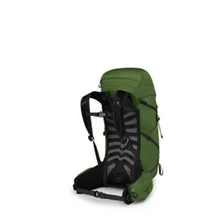 Plecak turystyczny Osprey Talon 33 - belt/black
