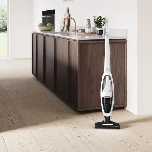 Пылесос Electrolux WQ81-ALRS 55 минут Сменный аккумулятор