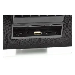 Głośnik Bluetooth Manta SPK15GO 20W Radio FM Czarny