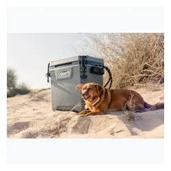 Lodówka turystyczna Coleman Convoy 28Qt 29 l