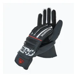 Rękawice narciarskie męskie Rossignol Hero Master Impr G onyx grey