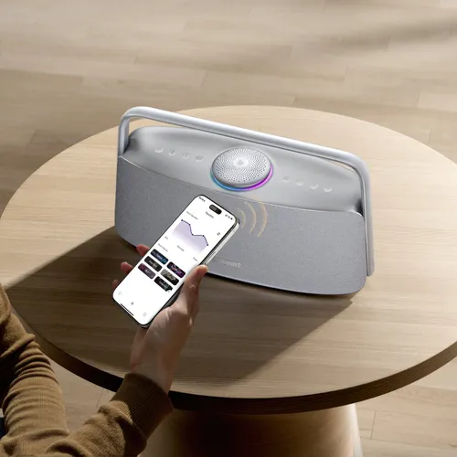 Głośnik mobilny TRONSMART Fiitune X30 Szary