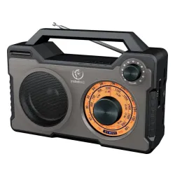 Głośnik Bluetooth Rebeltec RODOS 10W Radio FM Czarno-srebrny