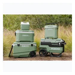 Lodówka turystyczna Igloo Ecocool 52 49 l vintage green