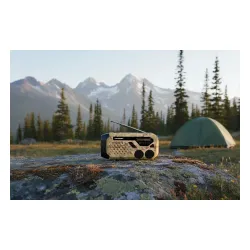 Radioodbiornik Blaupunkt ER10DC SURVIVAL Beżowy