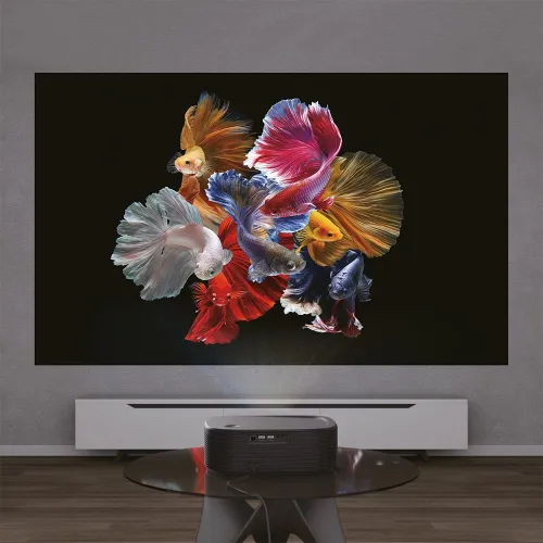 Projektor MANTA MultiVision Pro Full HD (1920 x 1080), 800 ANSI lumen, Wi-Fi, Bluetooth