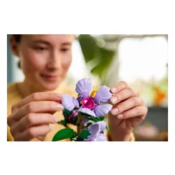 LEGO 10372 Botanicals Hibiskus