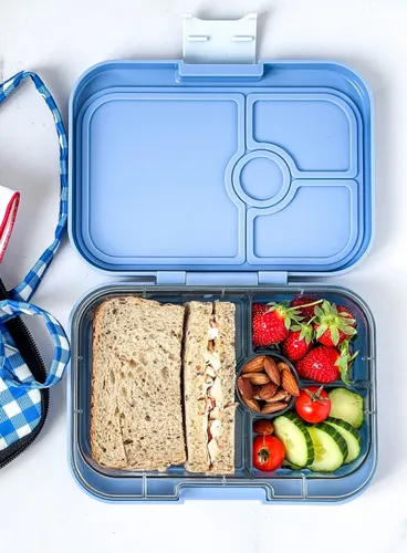 Średni prostokątny lunchbox Yumbox Panino - jurassic green / dinosaur tray