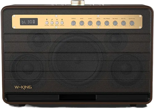 Głośnik mobilny W-KING K6L + 2 mikrofony Brązowy