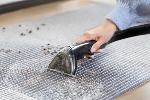 Odkurzacz Bissell SpotClean Mini Cordless 4065N
