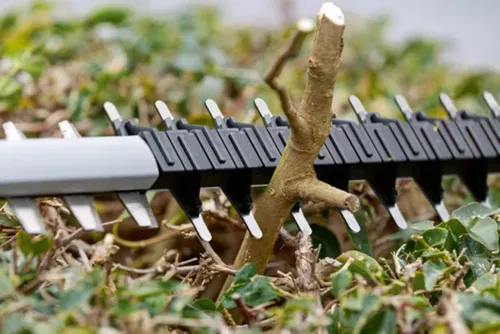 Nożyce do żywopłotu BOSCH Professional GHE 18V-50 06008C9500 akumulatorowe