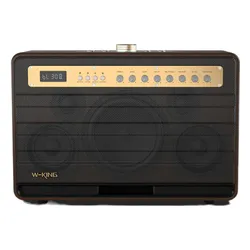 Głośnik mobilny W-KING K6L + 2 mikrofony Brązowy