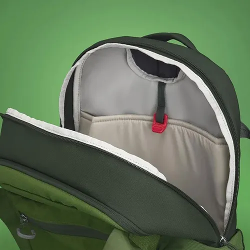 Спортивный рюкзак Osprey Daylite Plus - зеленый пояс / зеленый козырек