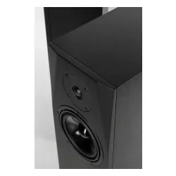 Kolumny Pylon Audio Sapphire 25 Czarny 2szt.