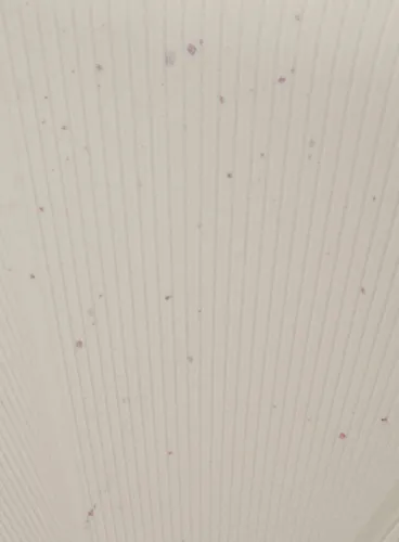 Walizka średnia American Tourister StarVibe EXP - cream speckles