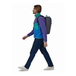 Городской рюкзак Patagonia Fieldsmith Linked Pack-пэчворк / тасманский чирок