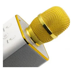 Technaxx MusicMan Karaoke Mikrofonu (BT-X31GOLD)