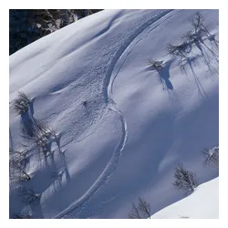 Deska Rome Warden 2026