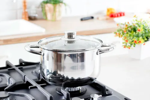 Garnek ze stali nierdzewnej z pokrywką TADAR LUZON 3 l