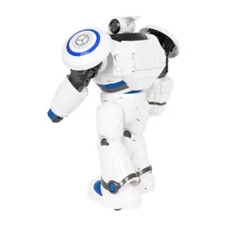 Sterowany wielofunkcyjny robot