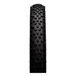 Schwalbe Rocket Ron Evolution Lastikleri