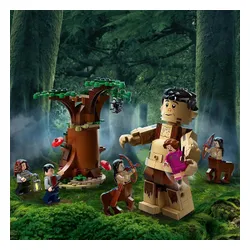 LEGO Harry Potter Yasak Orman: Toplantı Umbridge (75967)