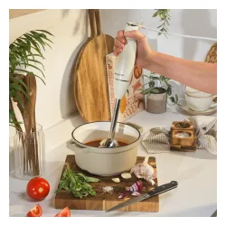 Blender Salter EK6685CRMVDE 600W Rozdrabniacz Końcówka do ubijania
