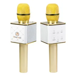 Technaxx MusicMan Karaoke Mikrofonu (BT-X31GOLD)