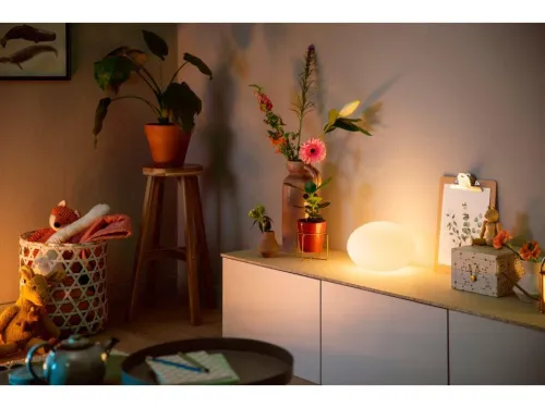 Philips Hue White and Colour Ambiance Flourish
